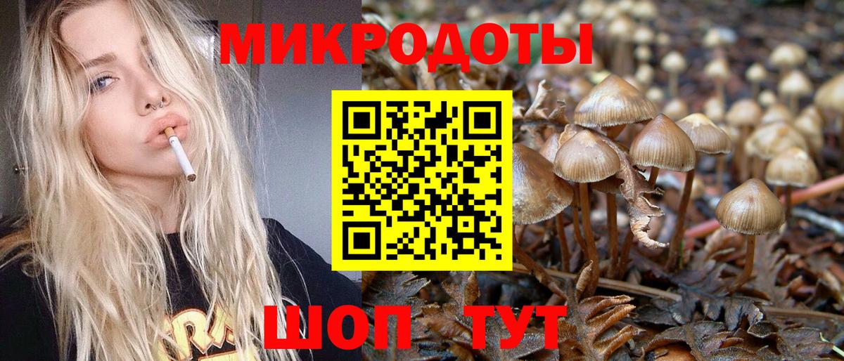 Карасук  Галлюциногенные грибы MAGIC MUSHROOMS  Вход с VPN 